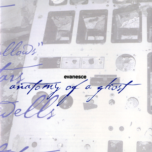 在线观看男同视频
