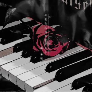 在线观看男同视频
